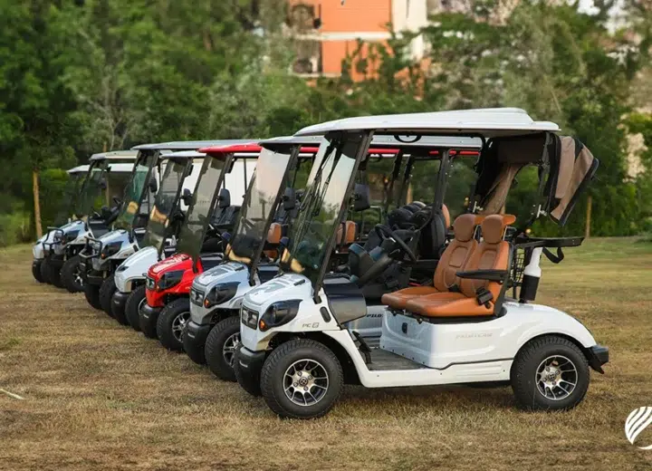 Golf carts UAE