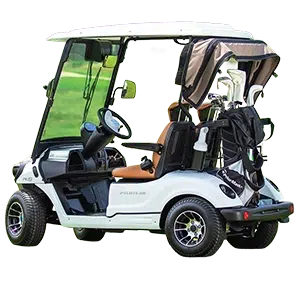 PC-2 &ndash; ELECTRIC GOLF CART